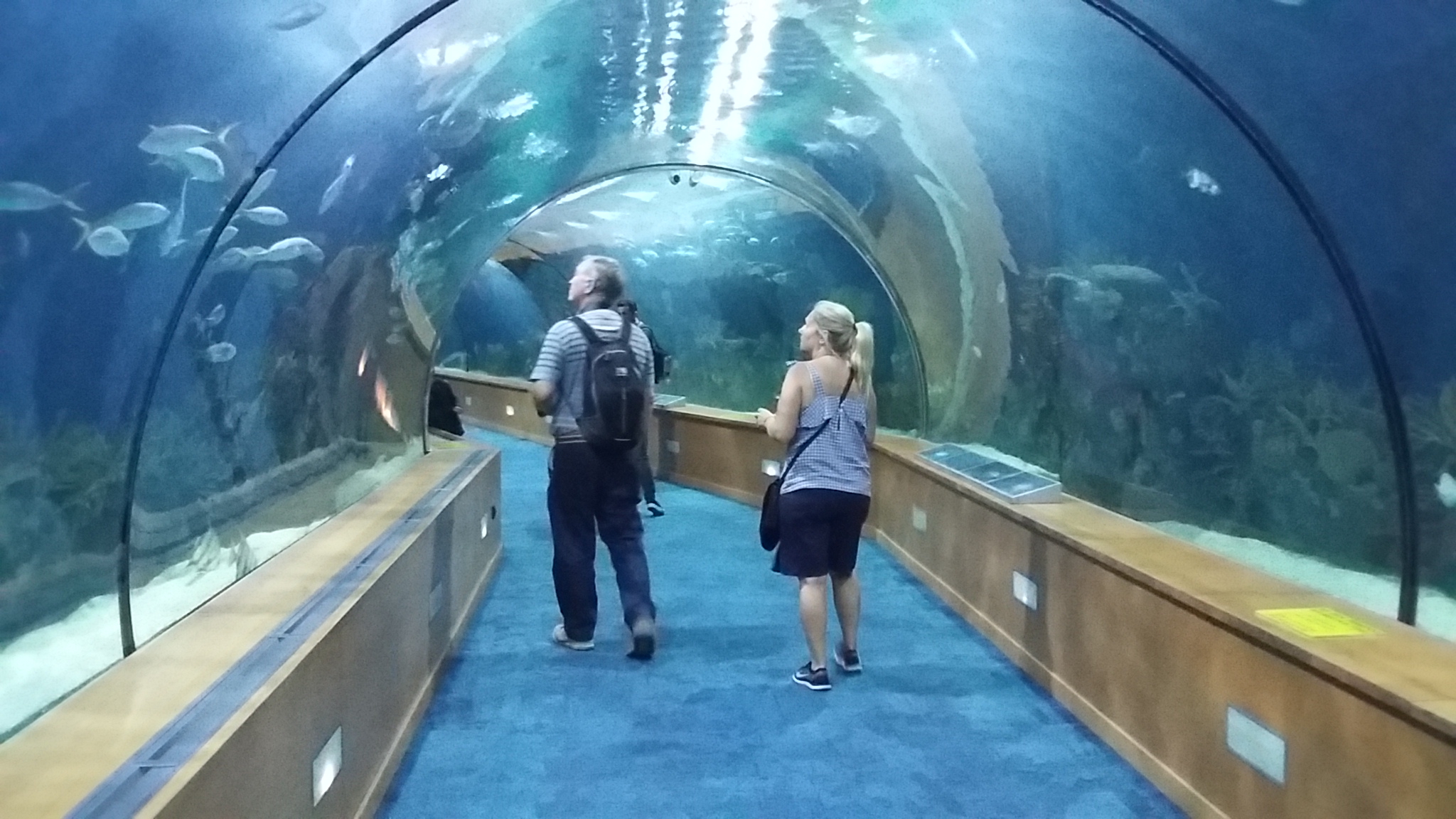 L’Oceanogràphic tunnel