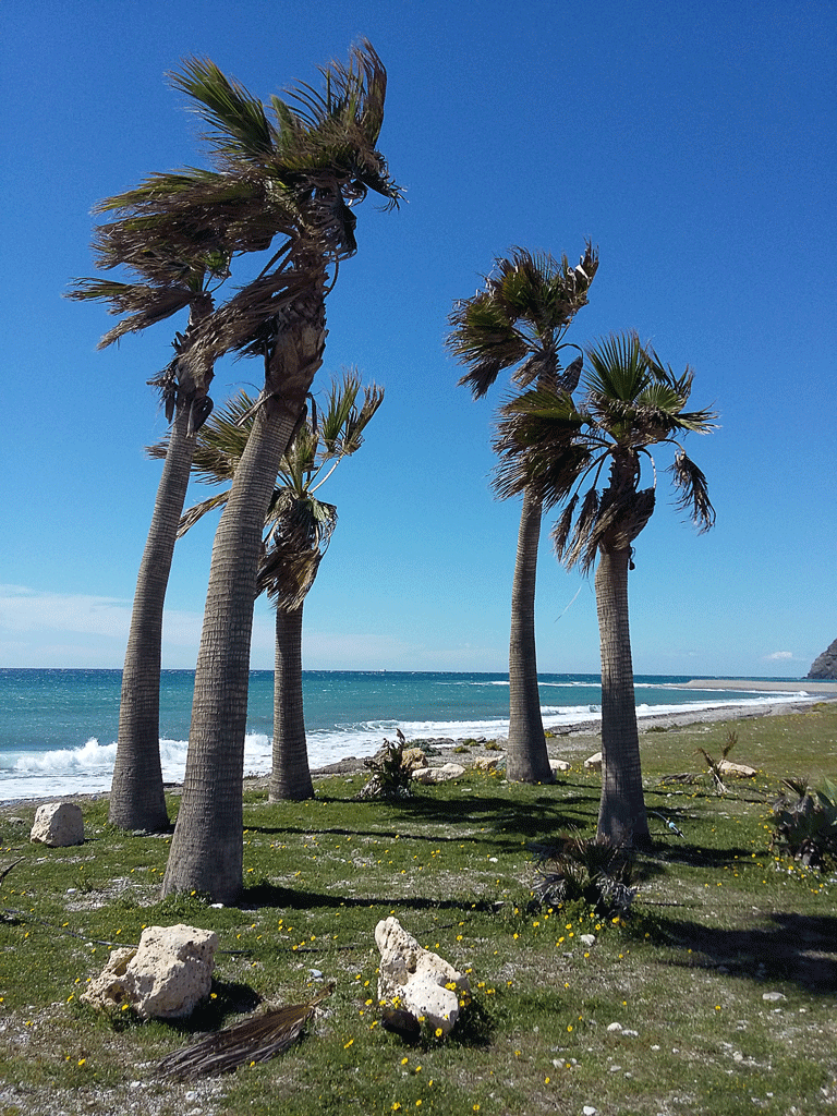 Granada Rendezvous Windy