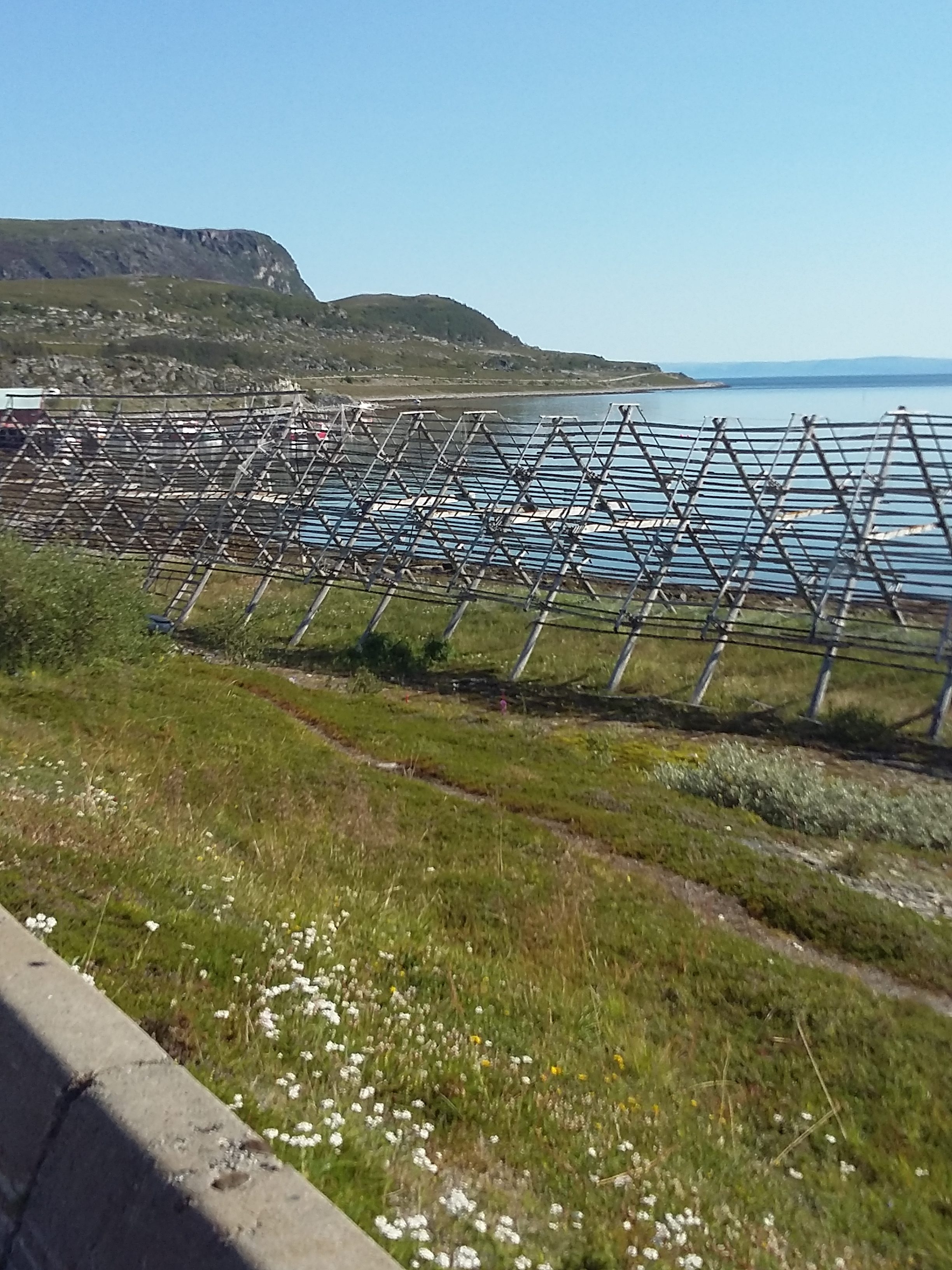 In Search of the Lofoten Islands Wooden 'hjell' racks for drying stockfish