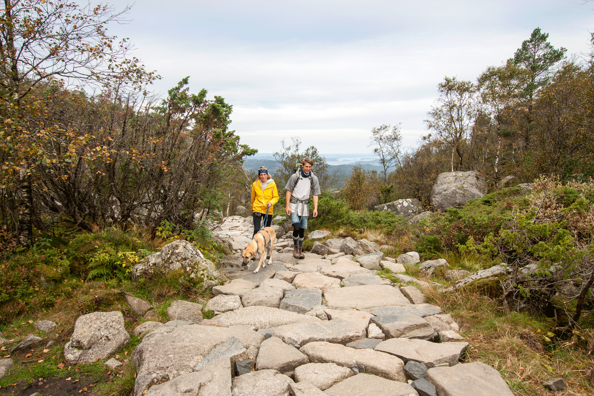Preikestolen Unsere deutschen Freunde