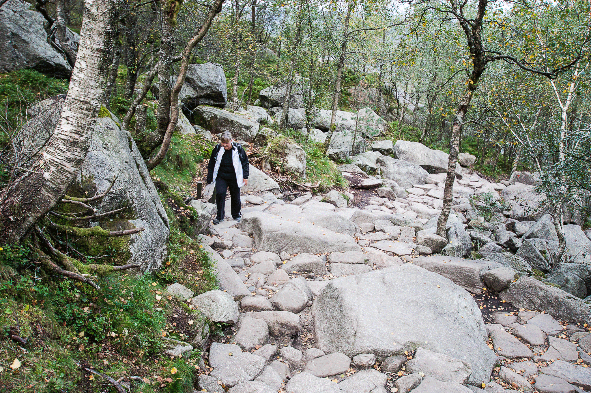Preikestolen Watch Your Step
