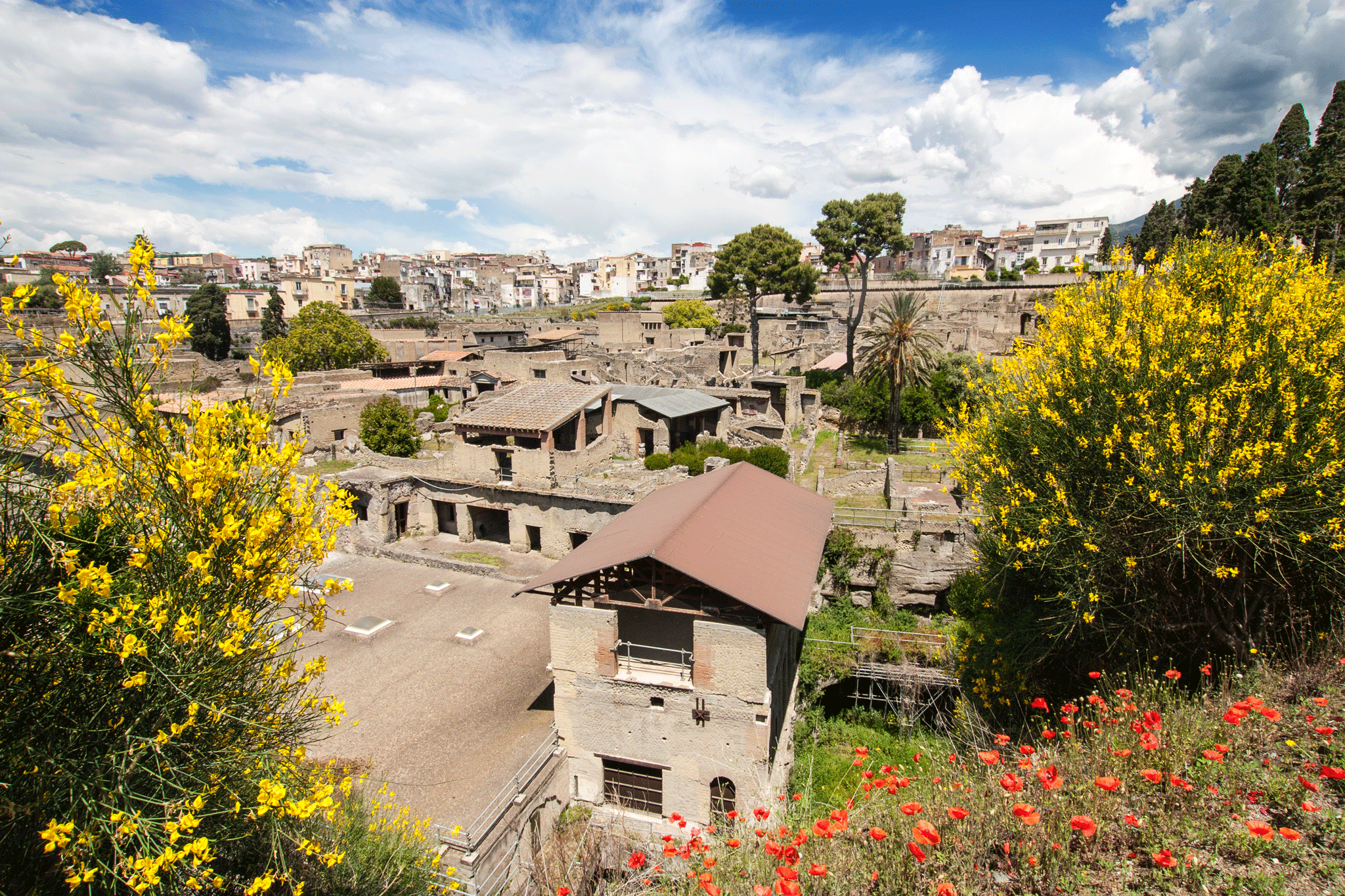 Herculaneum Through Flowers