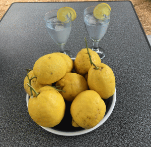 Storming Into Puglia Lemons